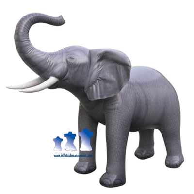 Extra-Large Elephant