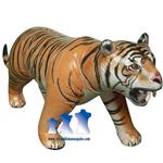 Extra-Large Tiger