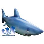 Extra-Large Shark