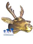 Moose Head