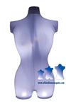 Female 3/4 Form, Lighted
