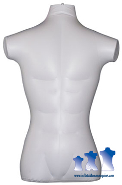Male Torso