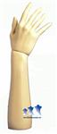 Hand Form, Hard Plastic Tall