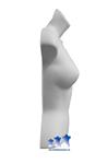 female torso hard plastic
